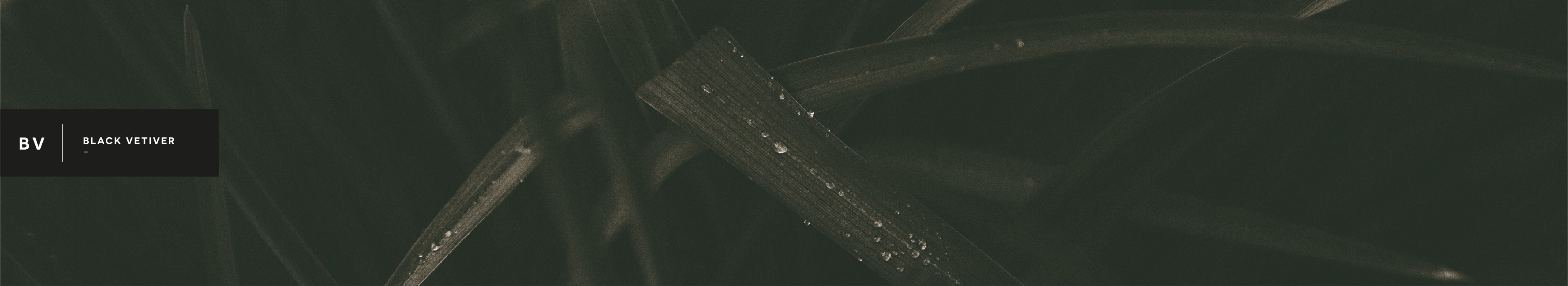 Main Banner