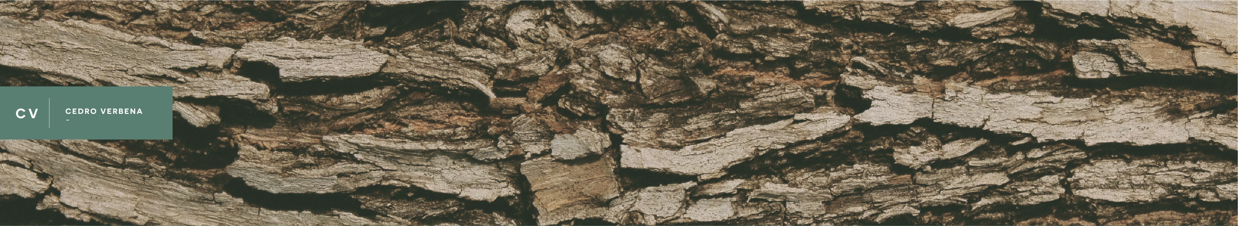 Main Banner