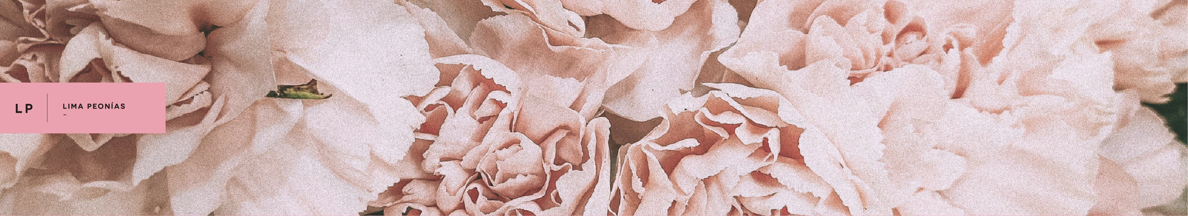 Main Banner