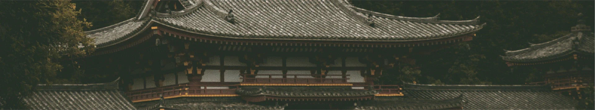 Main Banner