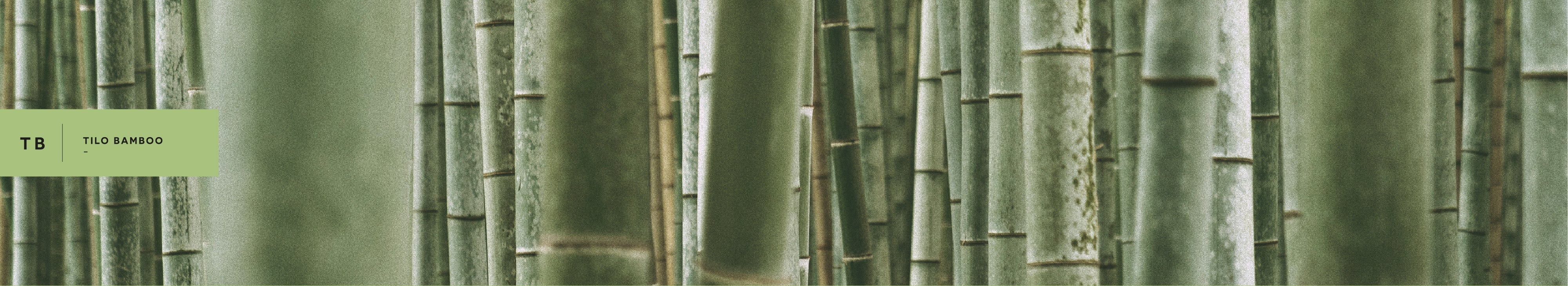 Main Banner
