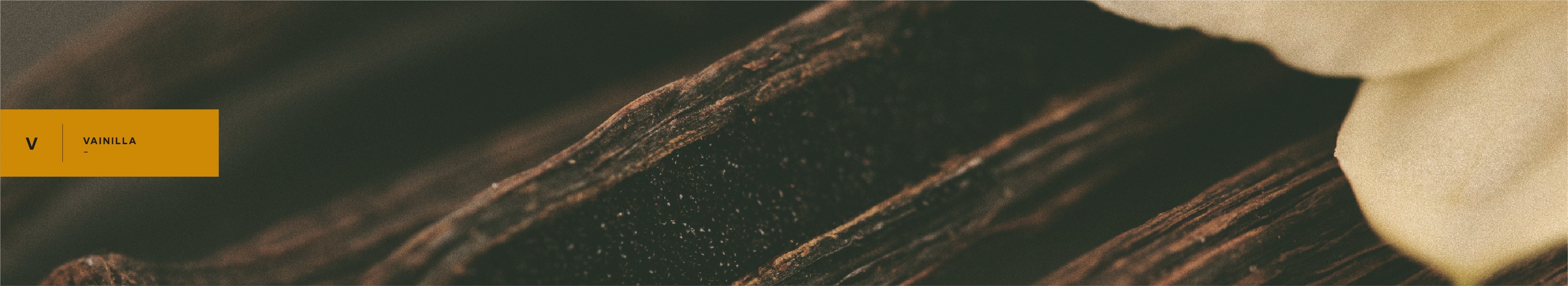 Main Banner